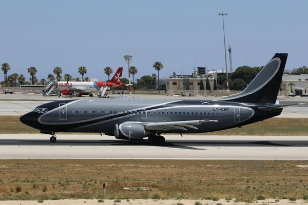 Quels sont les meilleurs conseils pour faire du camping avec des chiens tout en garantissant leur sécurité ?