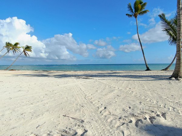 Comment éviter le stress lié à la réservation de votre voyage en ligne ?